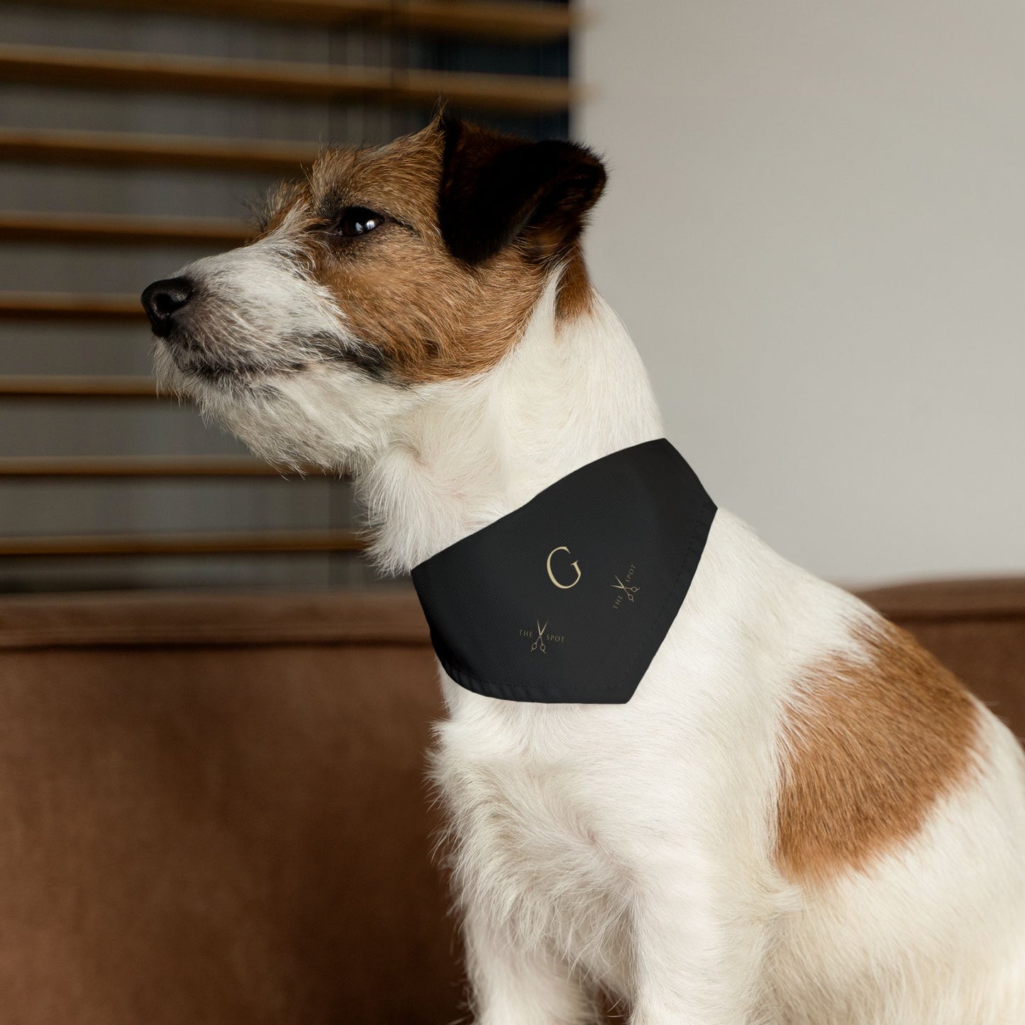 TGS - Stylish Pet Bandana Collar (Black)