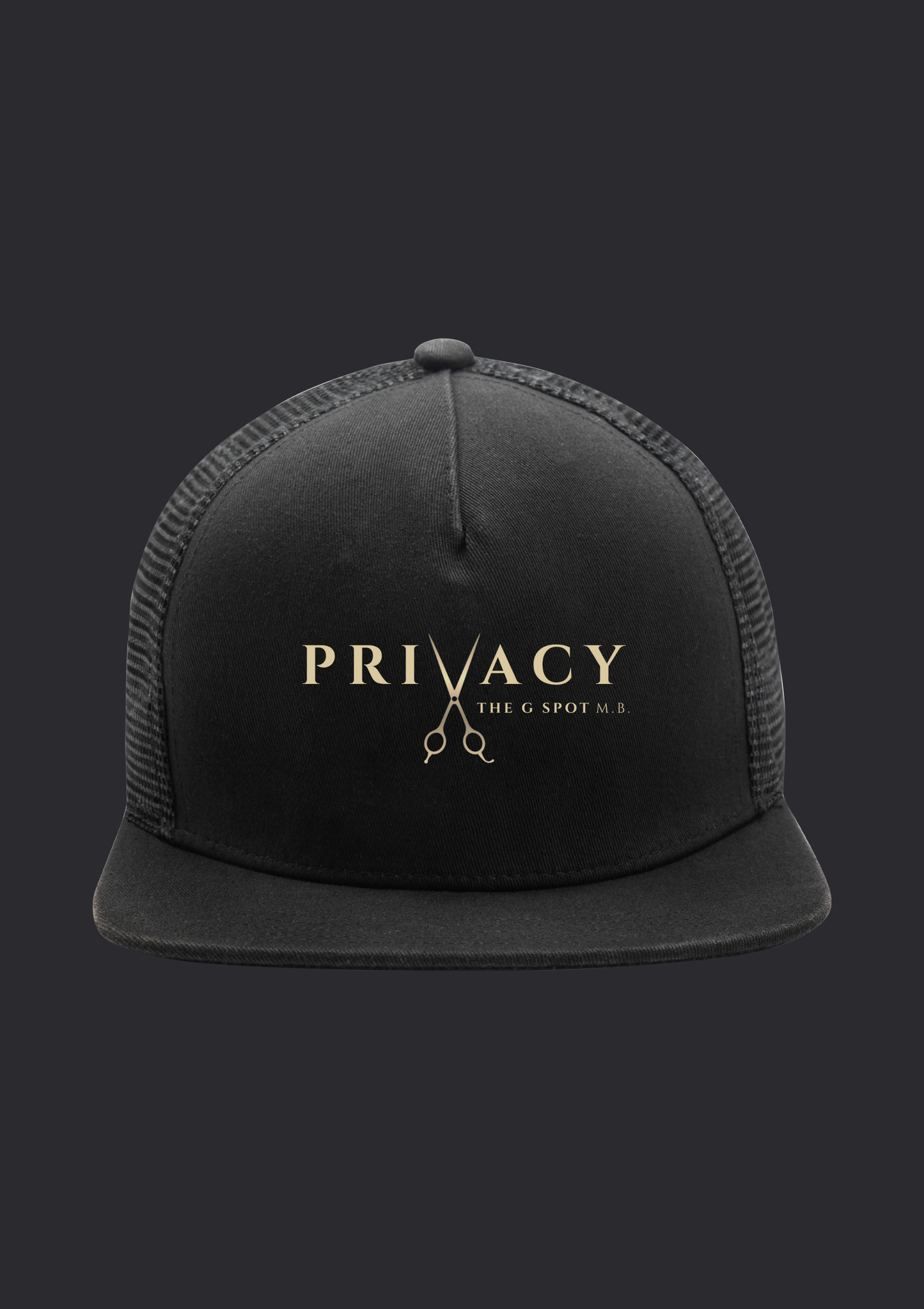 Privacy -  Snapback Flat Bill
